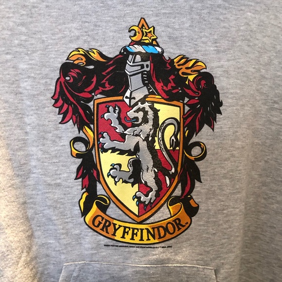 Harry Potter Gryffindor Hooded Sweatshirt Size Large - Picture 3 of 5